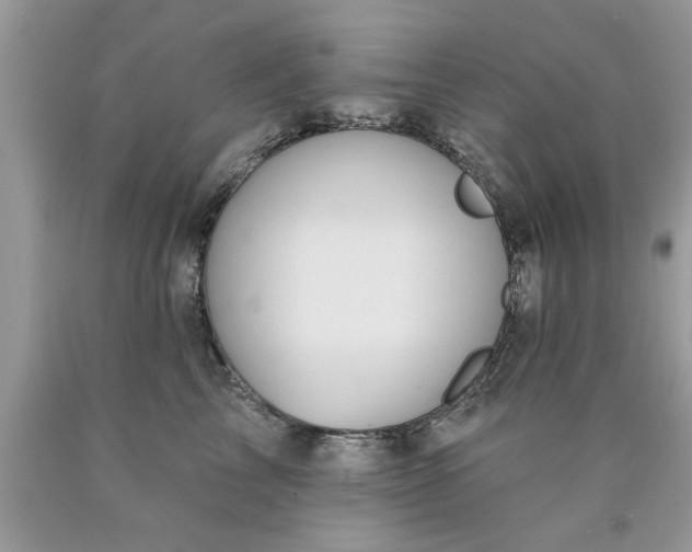 X0000090500713200707280001