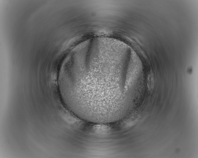 X0000090500714200707280001