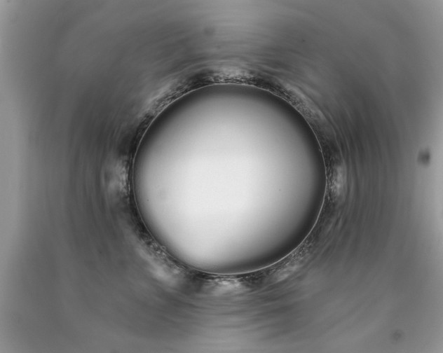 X0000090500715200707280001