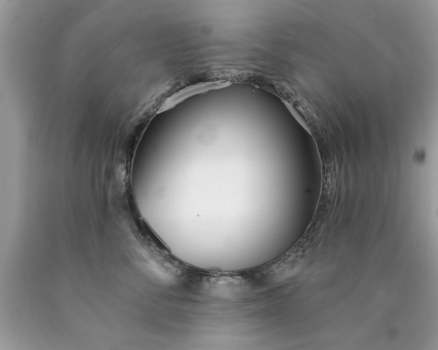 X0000090500716200707280001