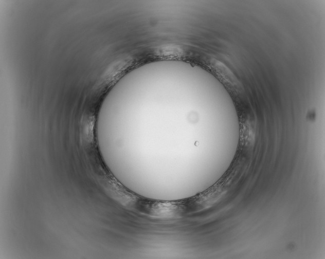 X0000090500717200707280001