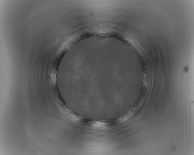 X0000090500718200707280001