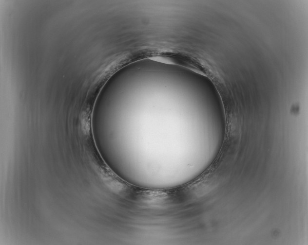 X0000090500719200707280001