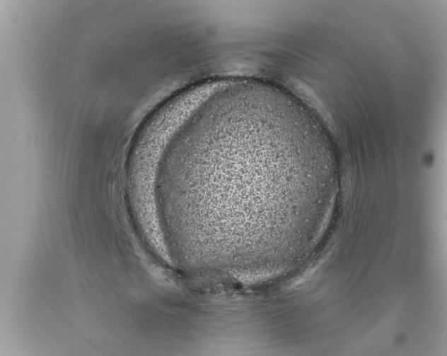 X0000090500721200707280000