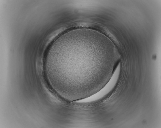 X0000090500722200707280000