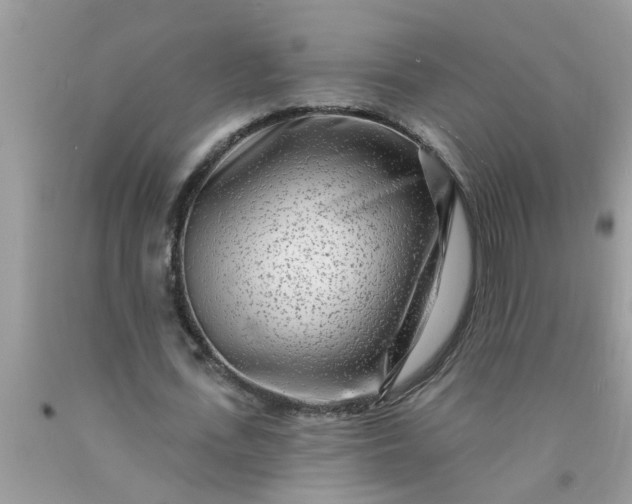 X0000090500723200707280000