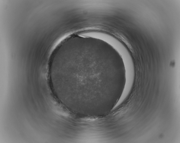 X0000090500724200707280000