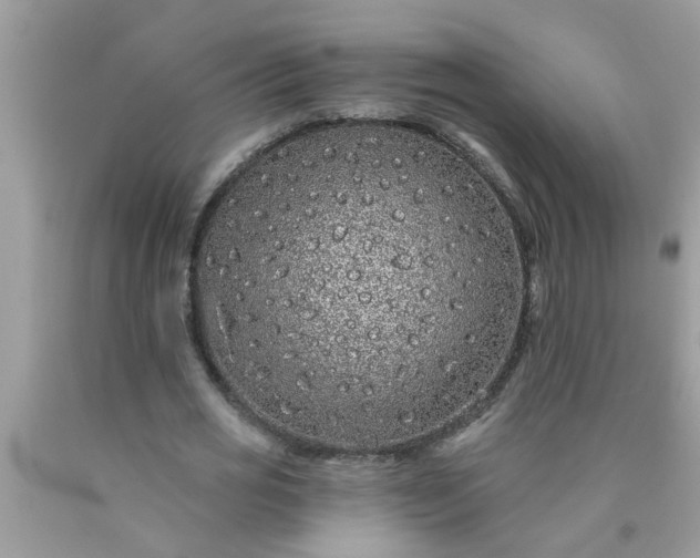 X0000090500725200707280000