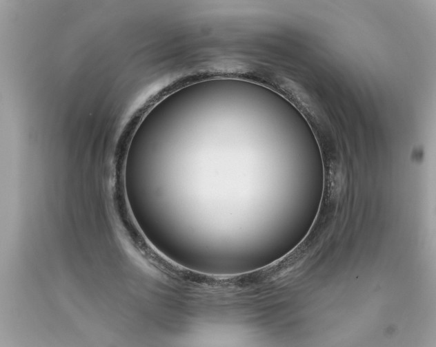 X0000090500726200707280000