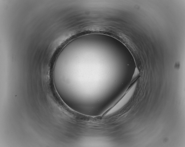 X0000090500727200707280000