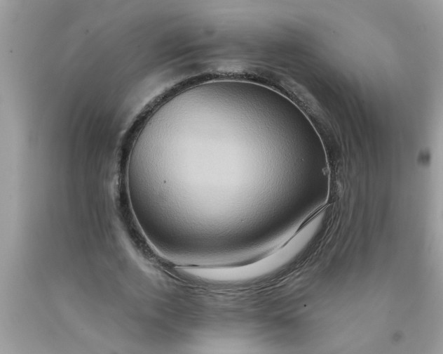 X0000090500728200707280000