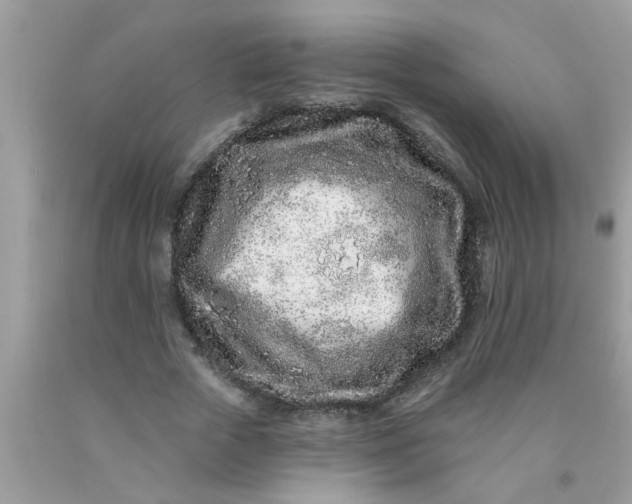 X0000090500729200707280000