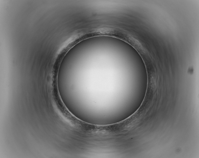 X0000090500730200707280001