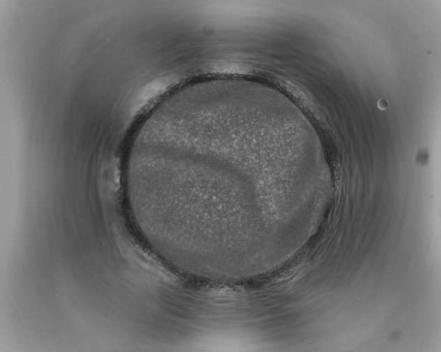 X0000090500731200707280001