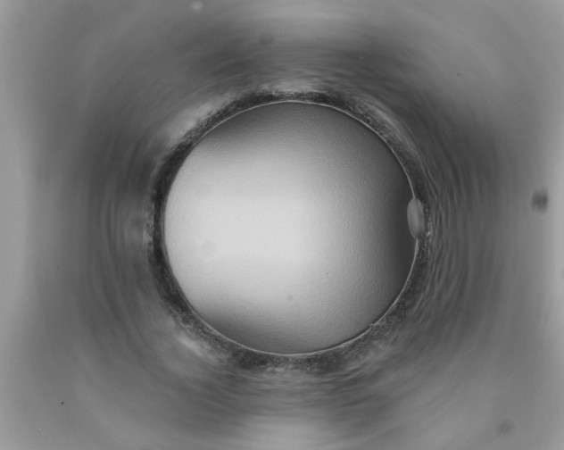 X0000090500732200707280001