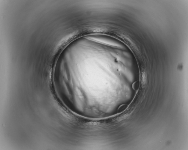 X0000090500733200707280001