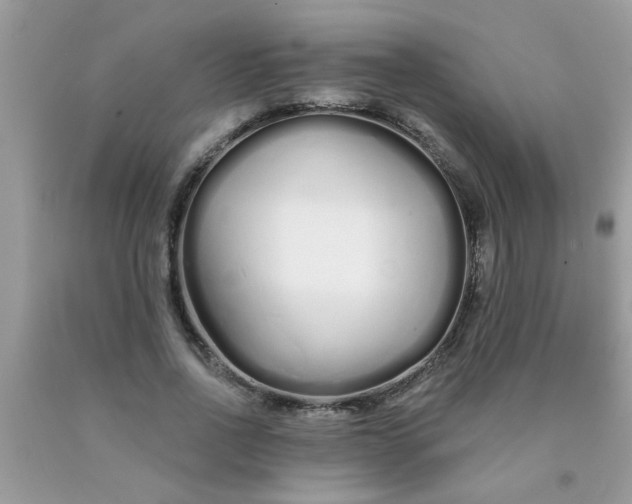 X0000090500734200707280001