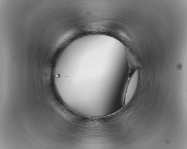 X0000090500735200707280001