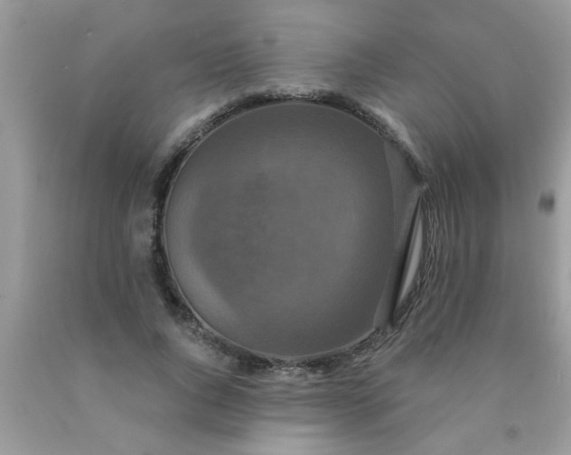 X0000090500736200707280001