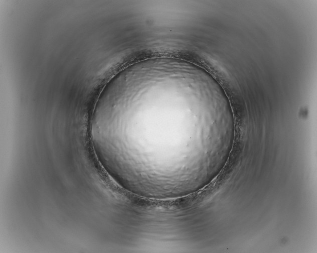 X0000090500737200707280001