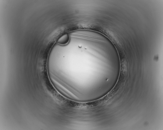 X0000090500738200707280001