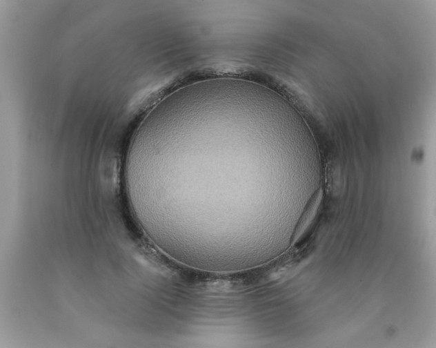 X0000090500740200707280001