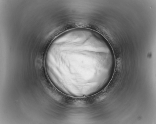 X0000090500741200707280001