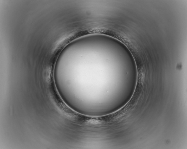 X0000090500742200707280001