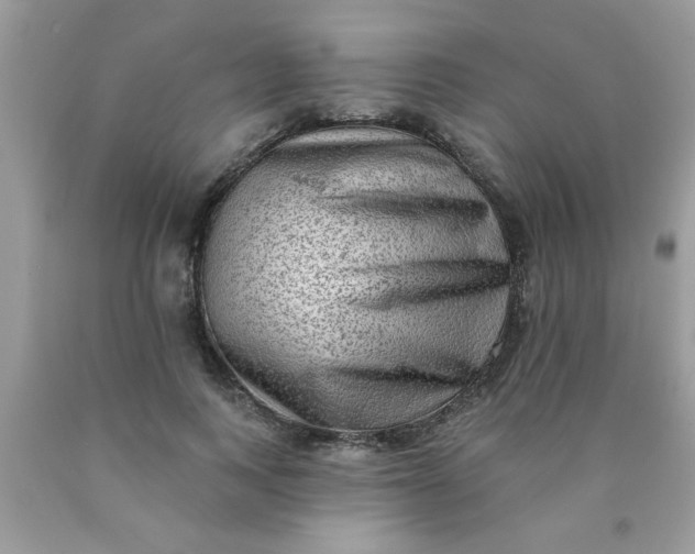 X0000090500743200707280001