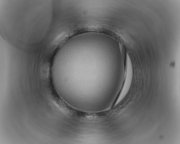 X0000090500744200707280001