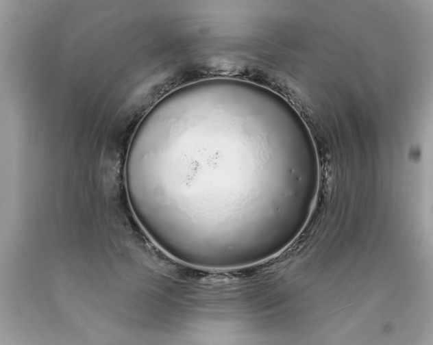 X0000090500745200707280001