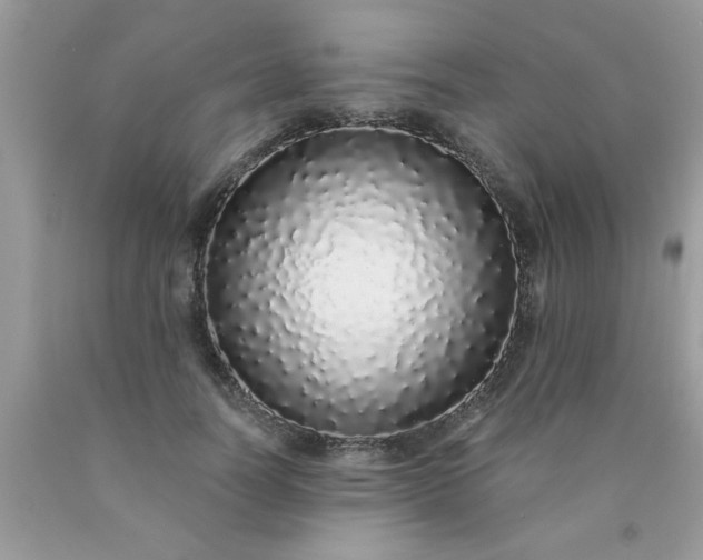 X0000090500746200707280001