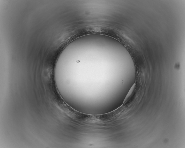 X0000090500747200707280001