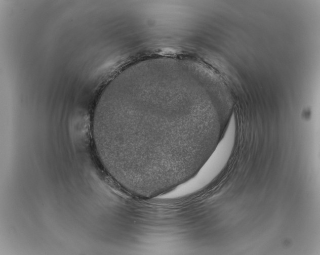 X0000090500748200707280001