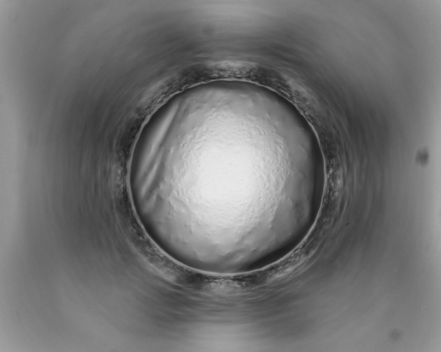 X0000090500749200707280001