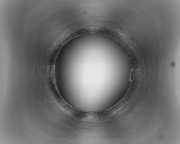 X0000090500750200707280001