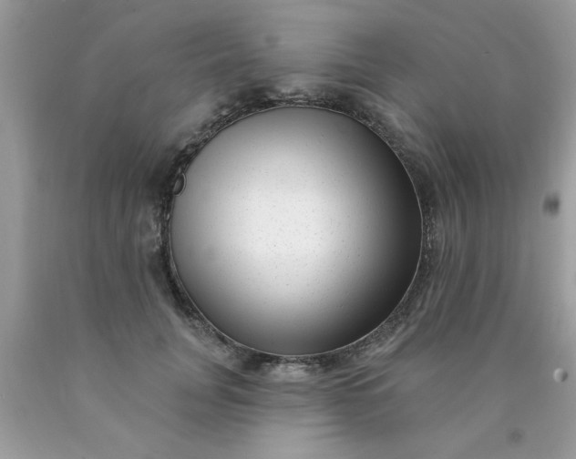 X0000090500751200707280001