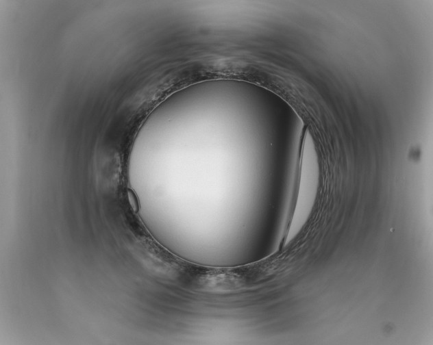 X0000090500752200707280001