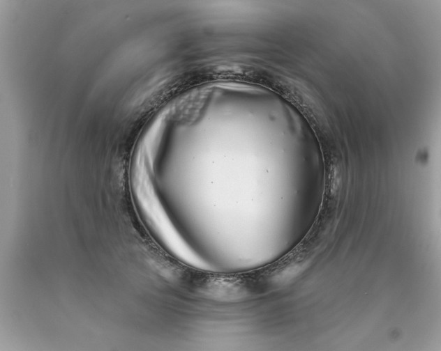 X0000090500753200707280001