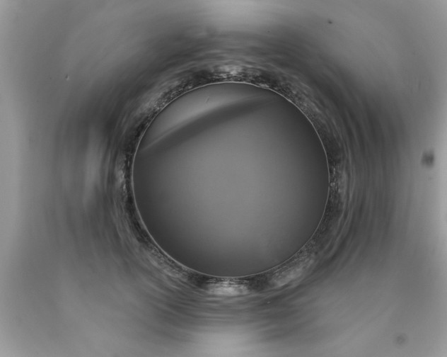 X0000090500754200707280001