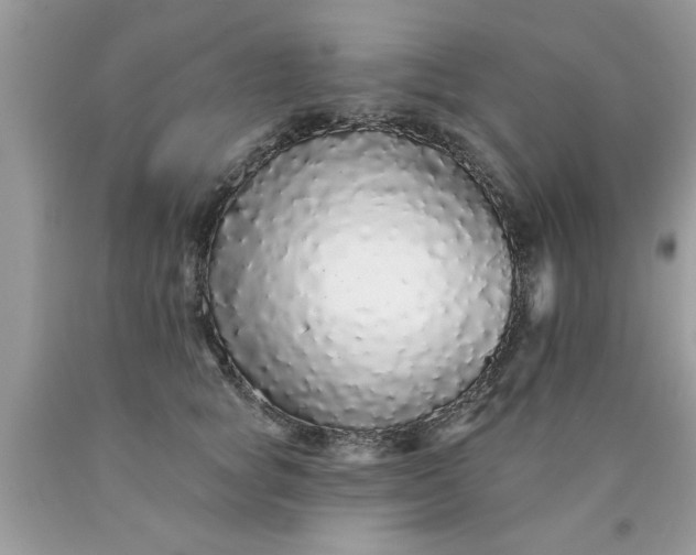 X0000090500757200707280001