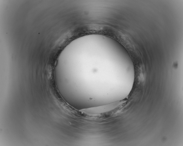 X0000090500758200707280001