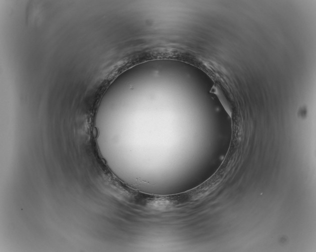 X0000090500759200707280001