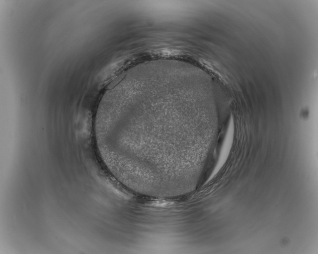 X0000090500760200707280001