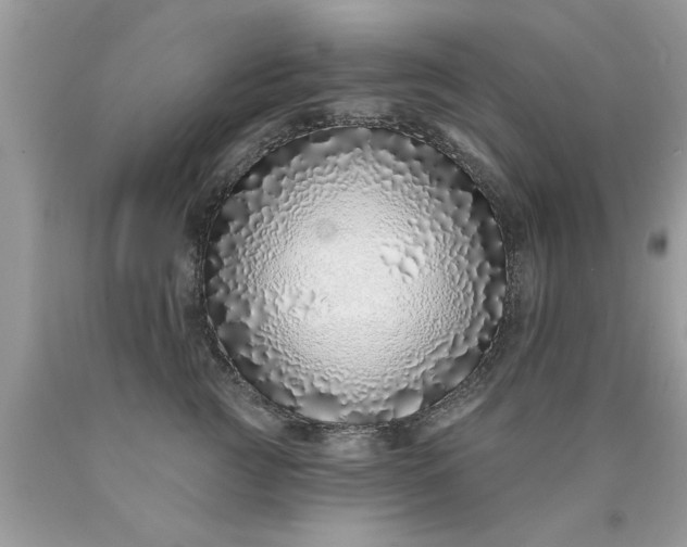 X0000090500761200707280001