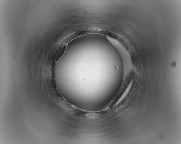 X0000090500762200707280001