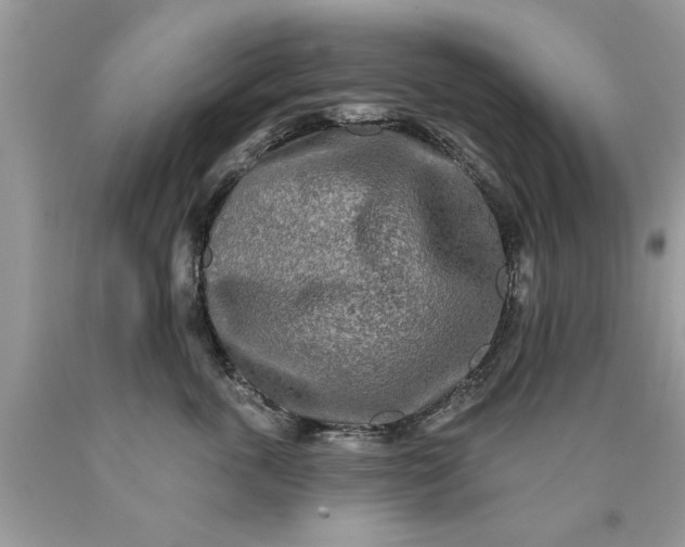 X0000090500763200707280001