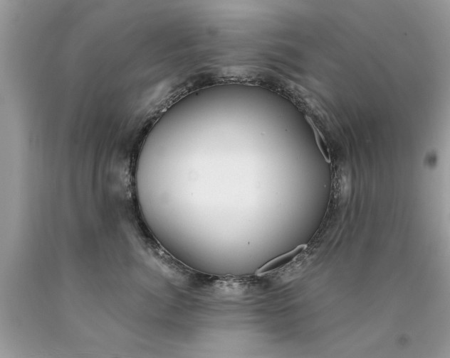 X0000090500764200707280001