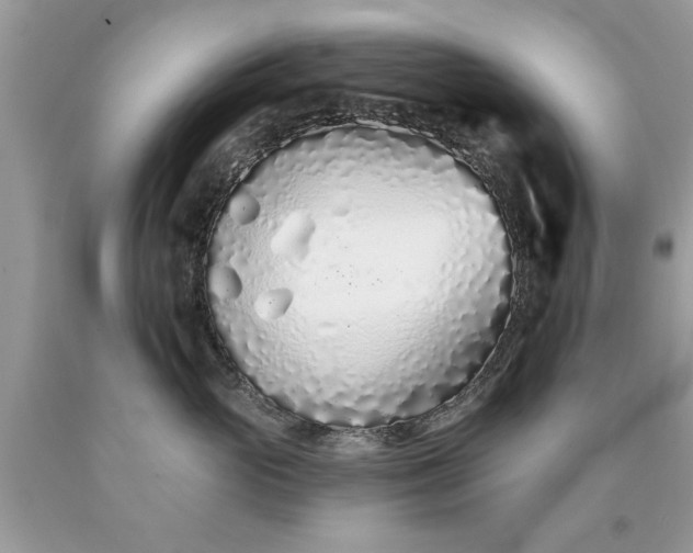 X0000090500765200707280001