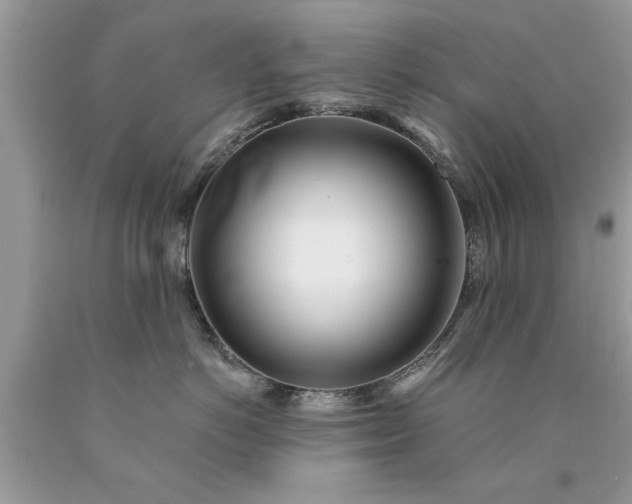 X0000090500766200707280001